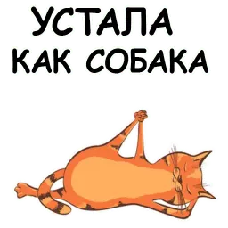 Йога с котом и лисичкой sticker 5