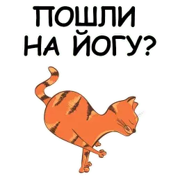 Йога с котом и лисичкой sticker 6