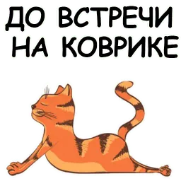 Йога с котом и лисичкой sticker 8