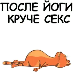 Йога с котом и лисичкой sticker 9