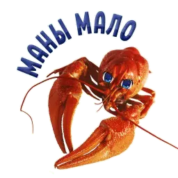 ? Раки sticker 12