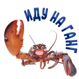 ? Раки sticker 3