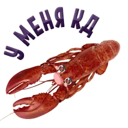 ? Раки sticker 7