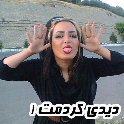 zari2016 sticker 10