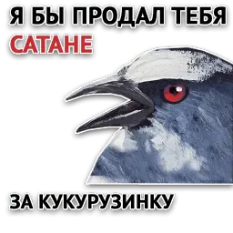 Злойпак от @SimplePsychology sticker 2