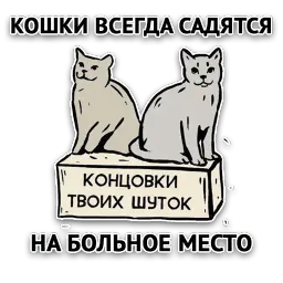 Злойпак от @SimplePsychology sticker 11