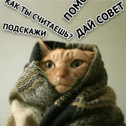 Злойпак от @SimplePsychology sticker 12