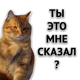 Злойпак от @SimplePsychology sticker 5