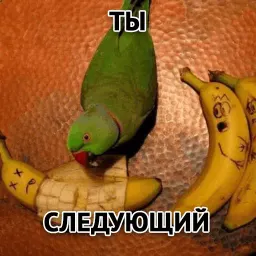 Злойпак от @SimplePsychology sticker 8